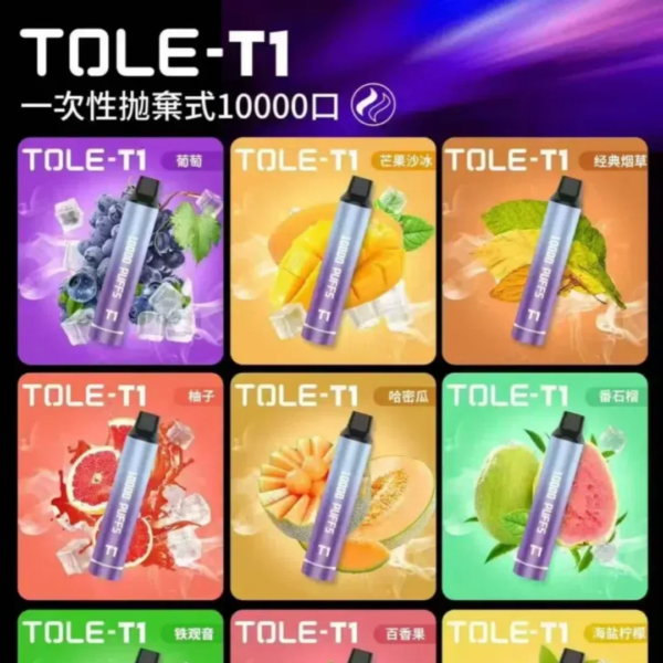 TOLE一次性拋棄式《 10000口 》